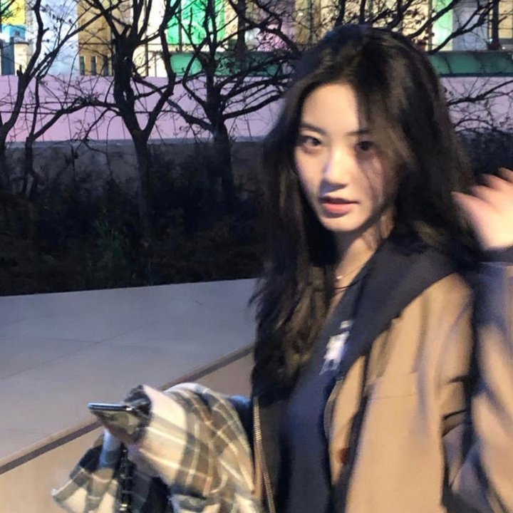 月与莱卡与吸血公主